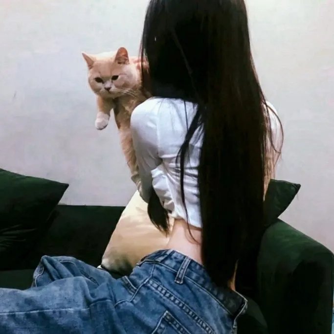 仙女下凡